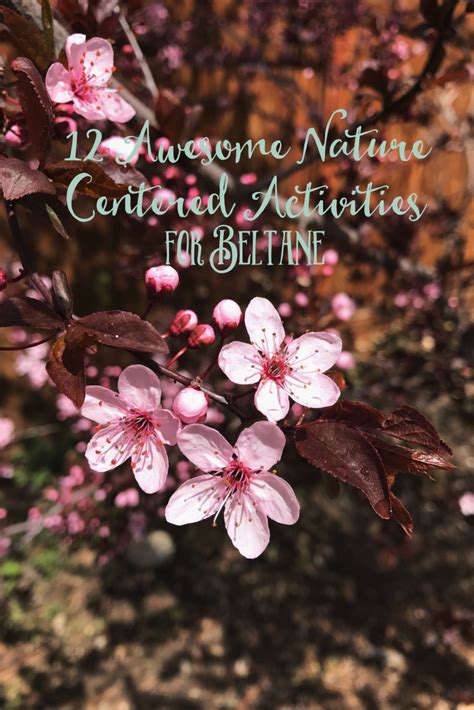 Nature centered witchcraft manual